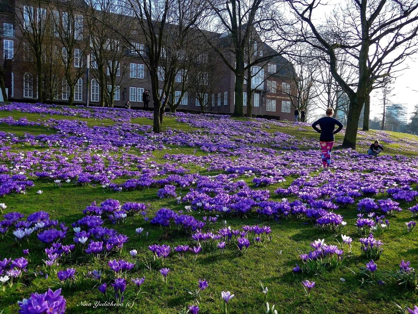 Planten un Blomen Hamburg
