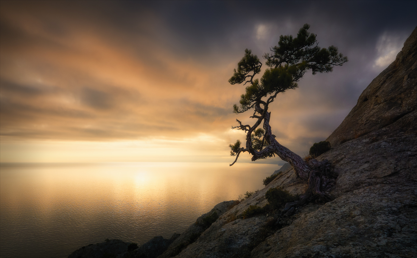 Auf den sieben Winden.