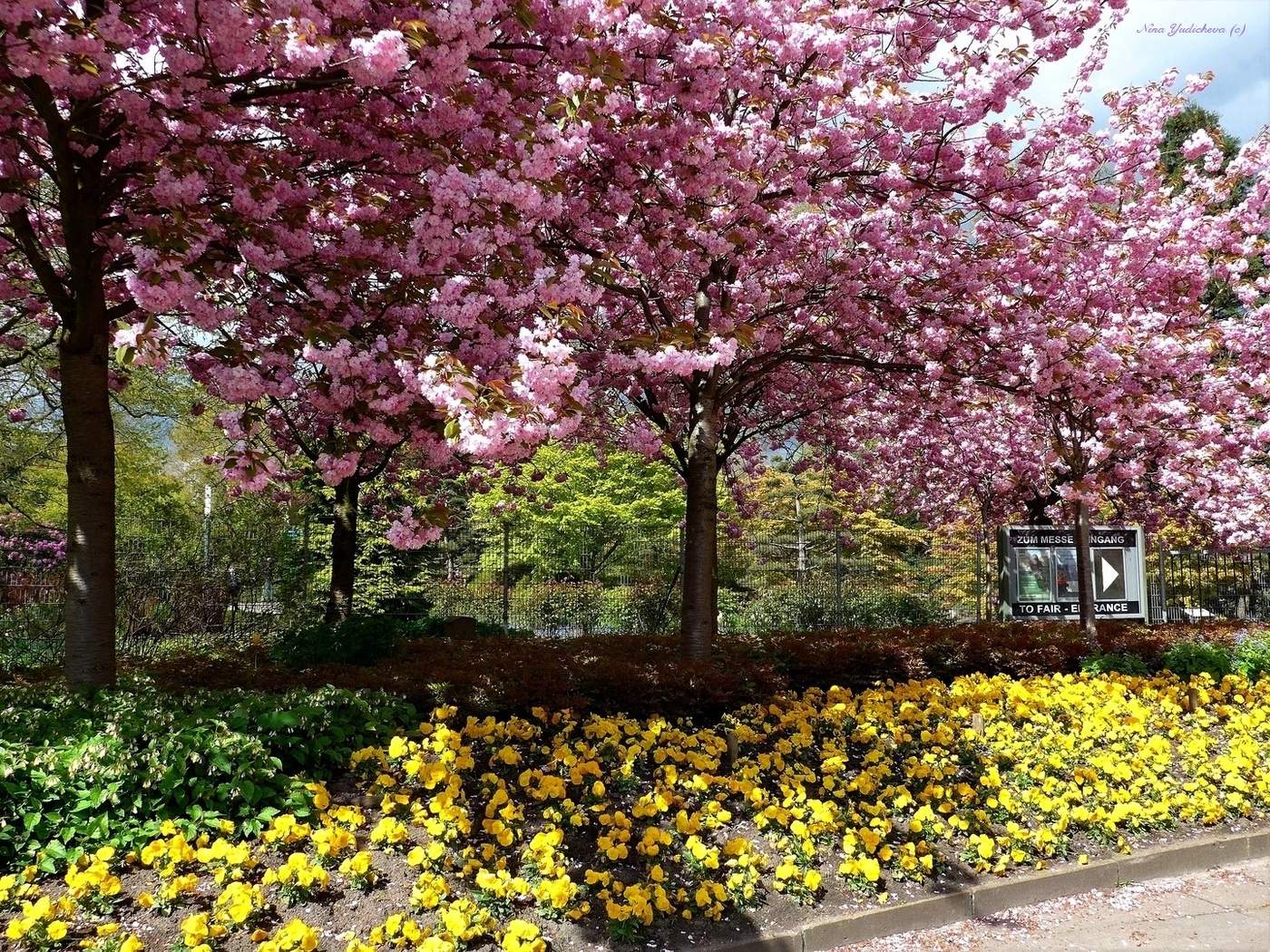 Planten un Blomen Hamburg