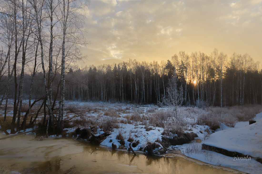 Frühling am Rande des