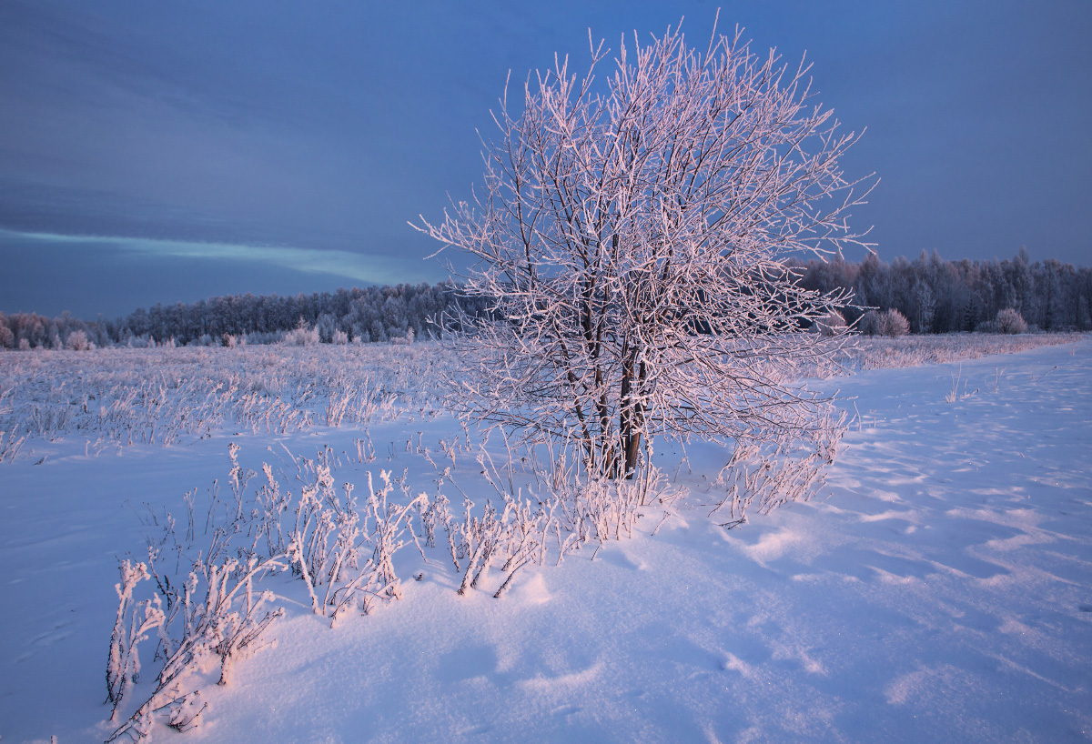 Herbst Morgendämmerung