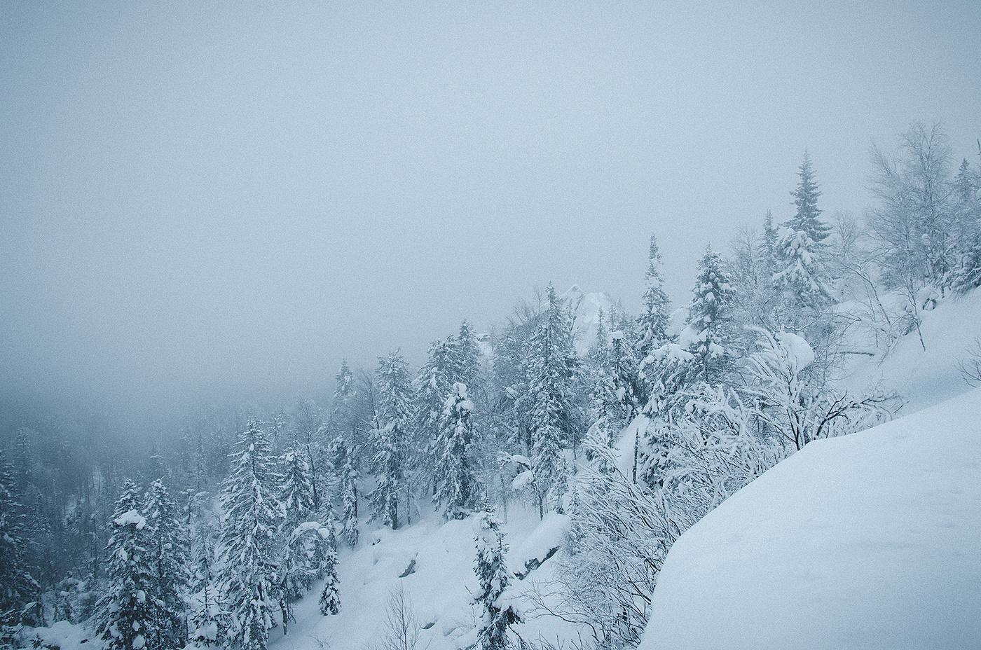 Der Geruch des Herbstes