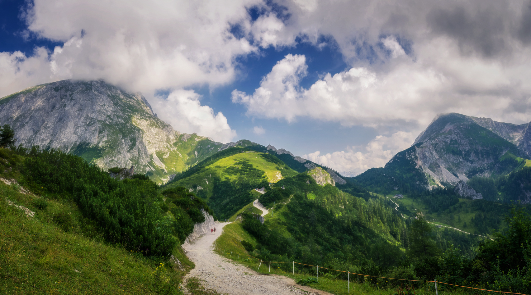 An den Hängen des Jenner