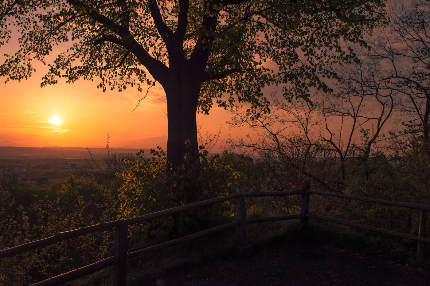 Blick auf das Siebengebirge