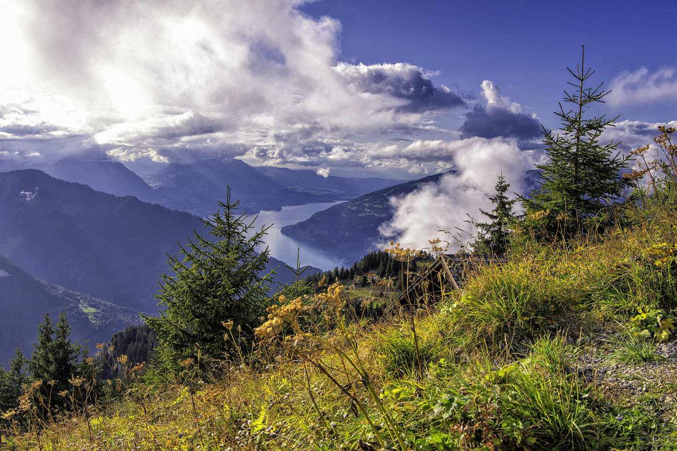 Blick auf den Thunersee