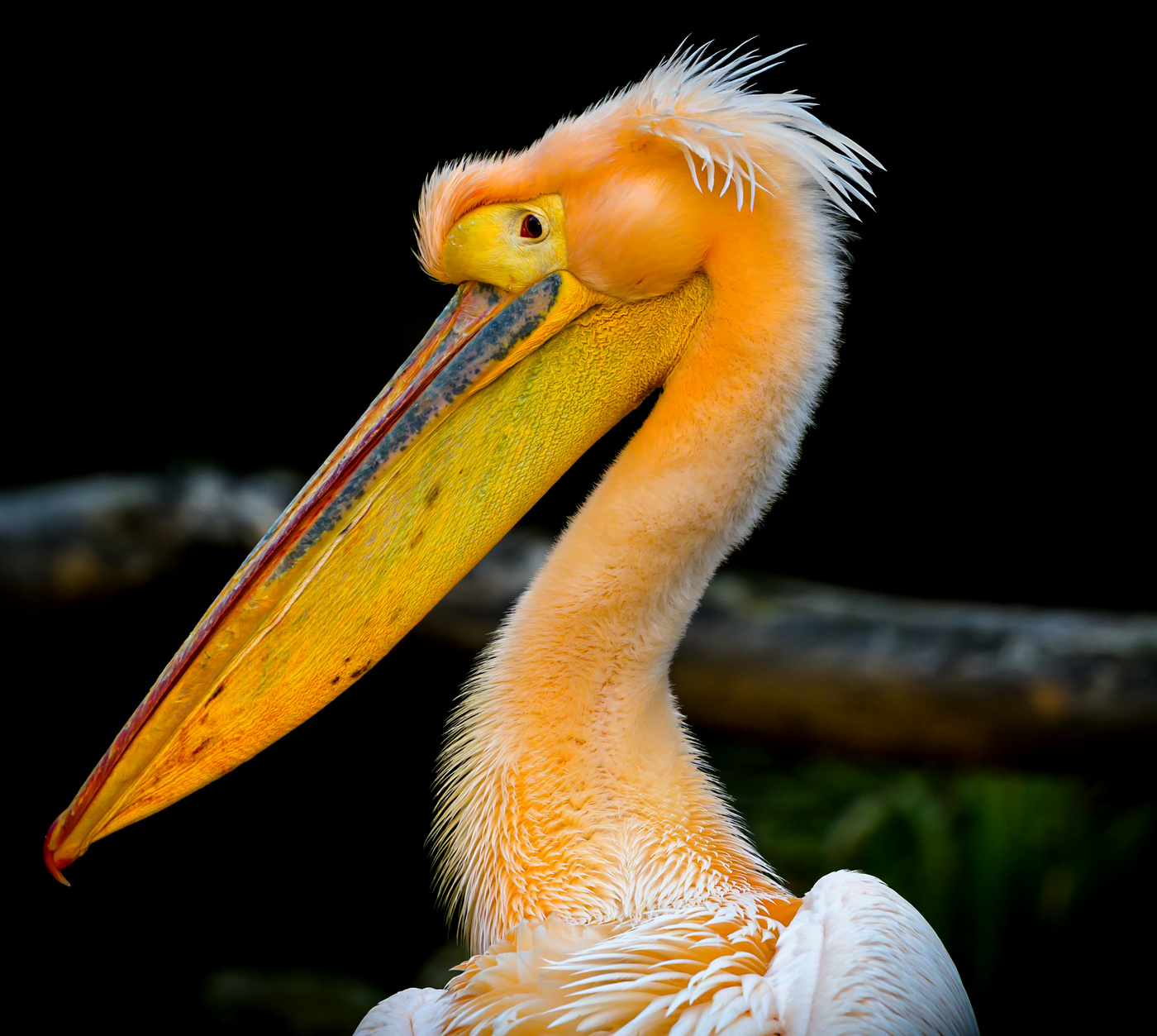 my left side . . . .