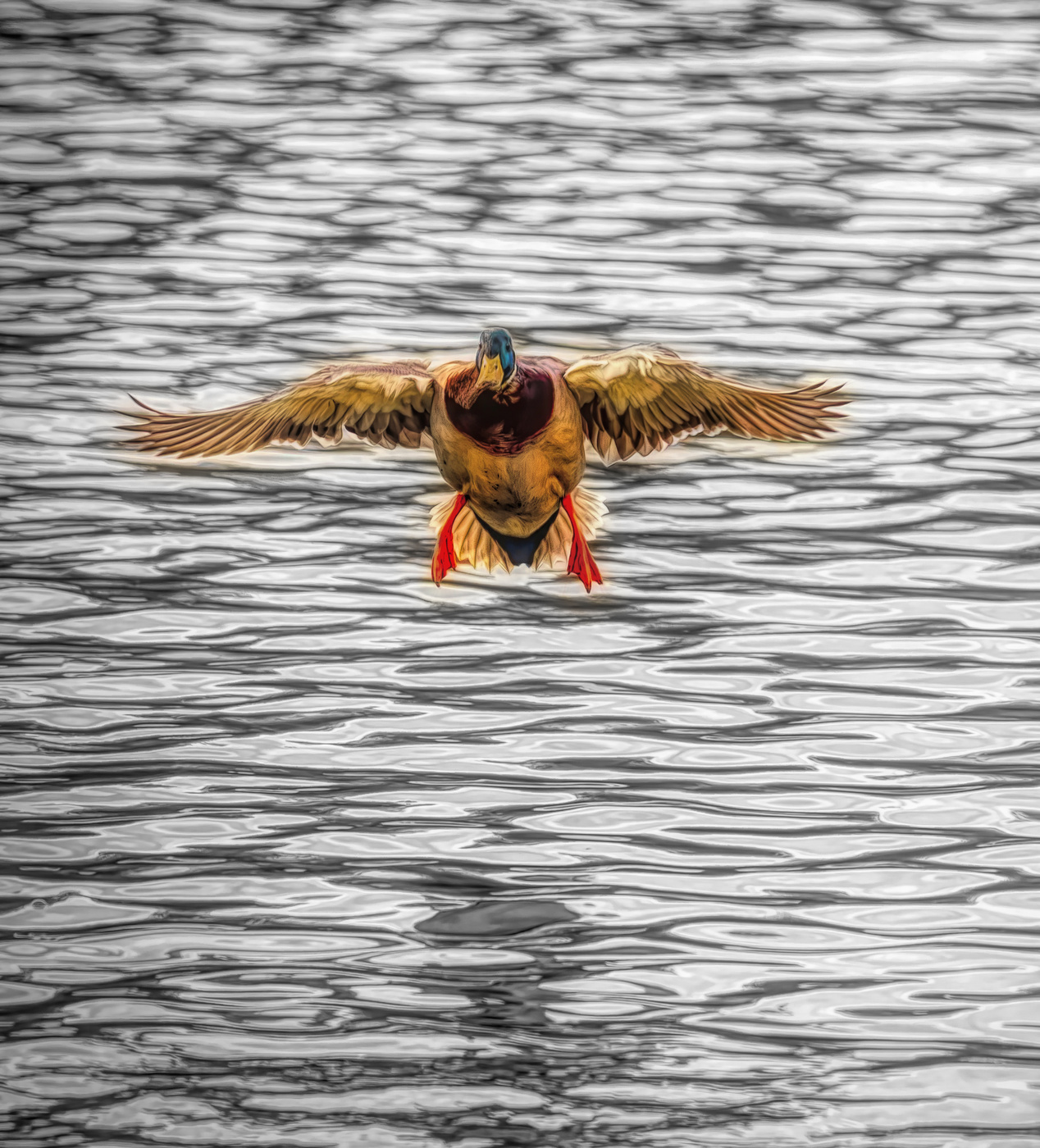 Ein Moment, bevor ...