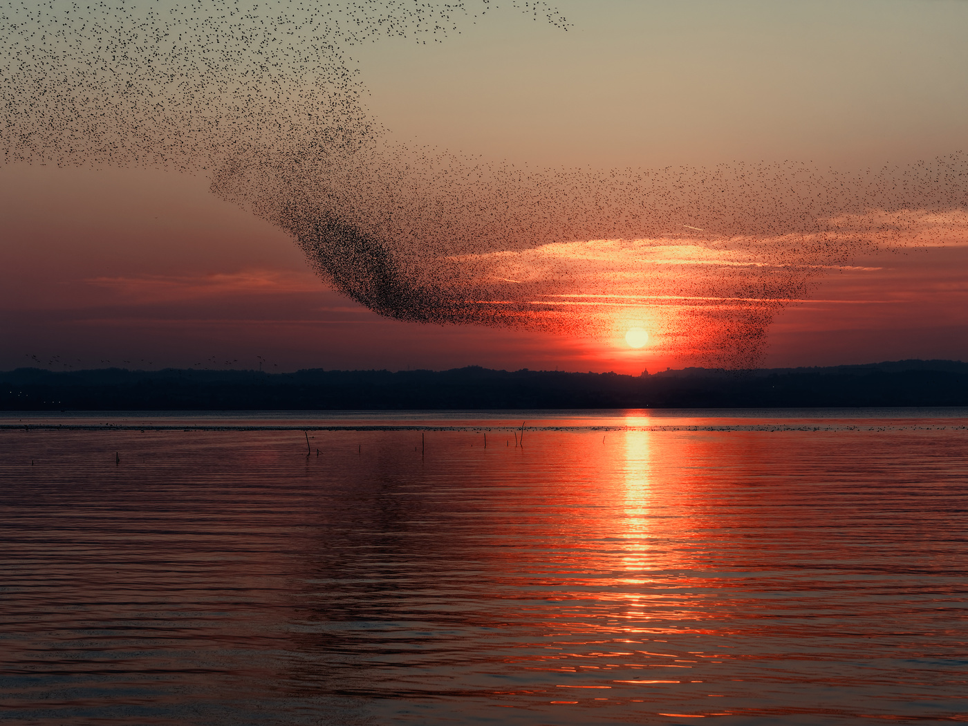 Star(l)ing at the sun