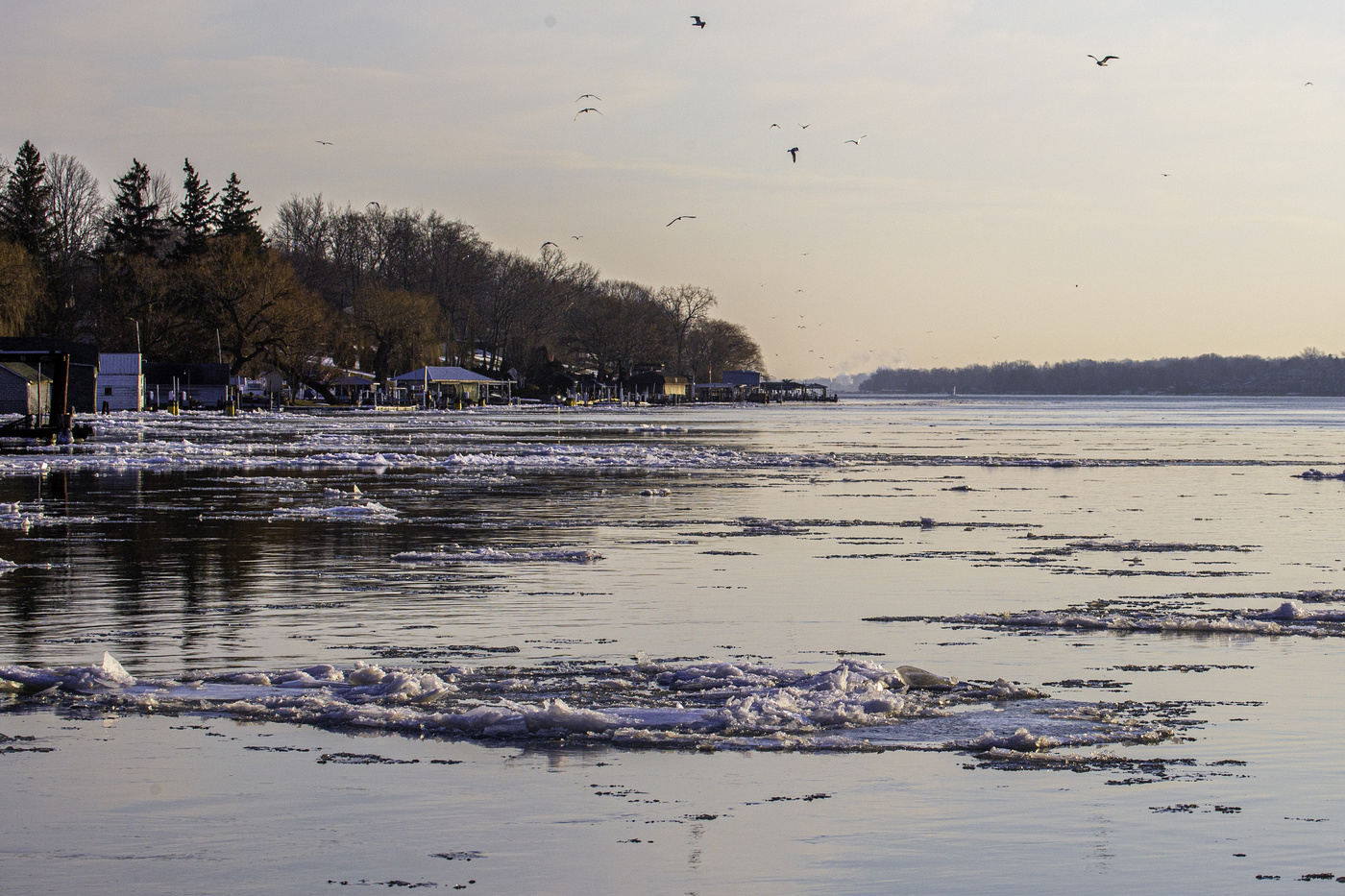 Looking Downriver at Sunset
