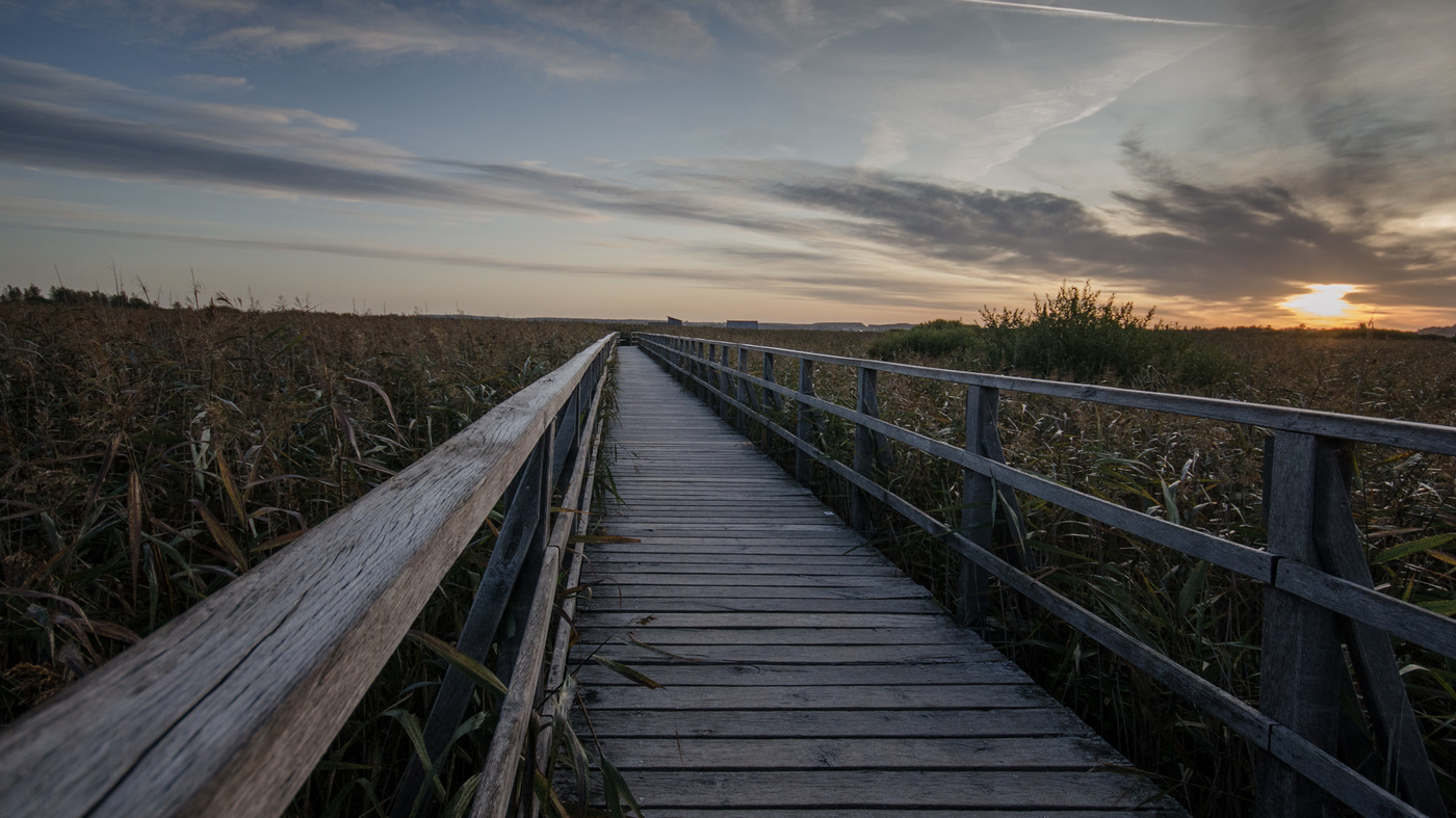 Sonnenaufgang am Moor