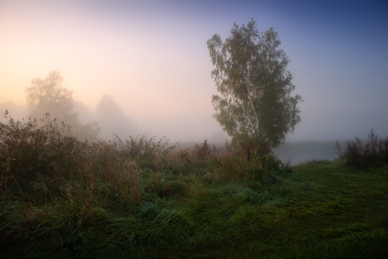 Herbstnebel