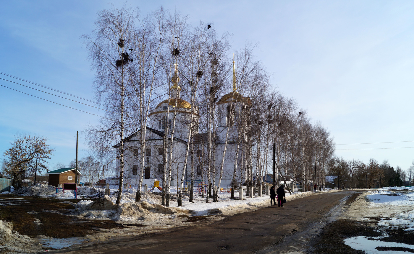 Die Saatkrähen sind angekommen