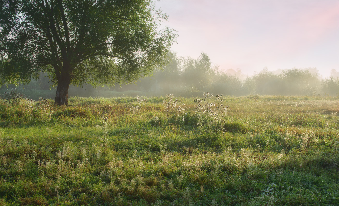 Die Sonne steigt ...