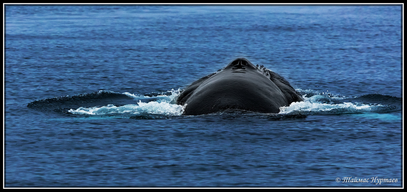 von Angesicht zu Angesicht