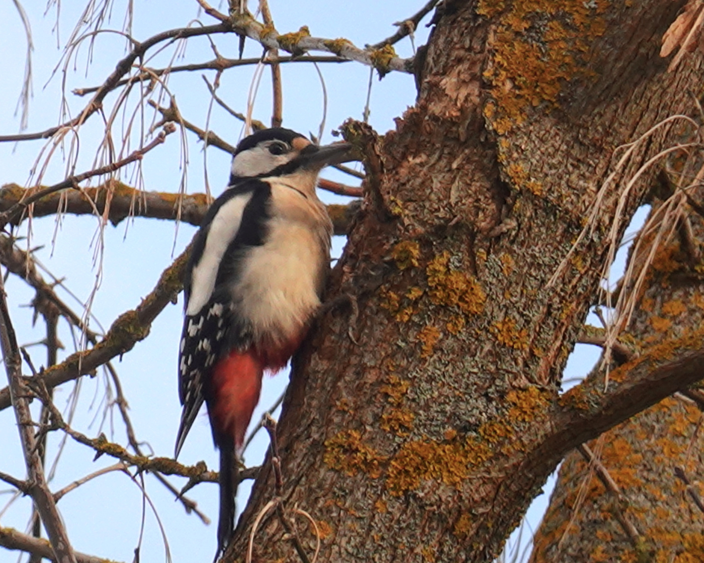 Der Frühling ist gekommen