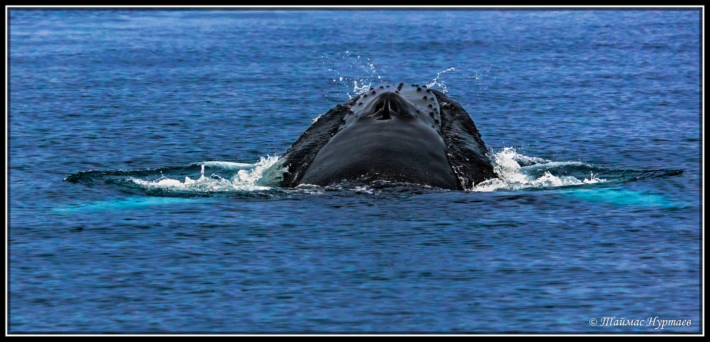 von Angesicht zu Angesicht
