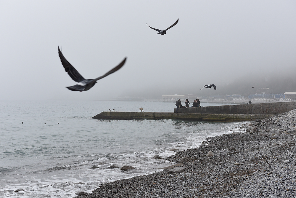 Einer flog über das ...