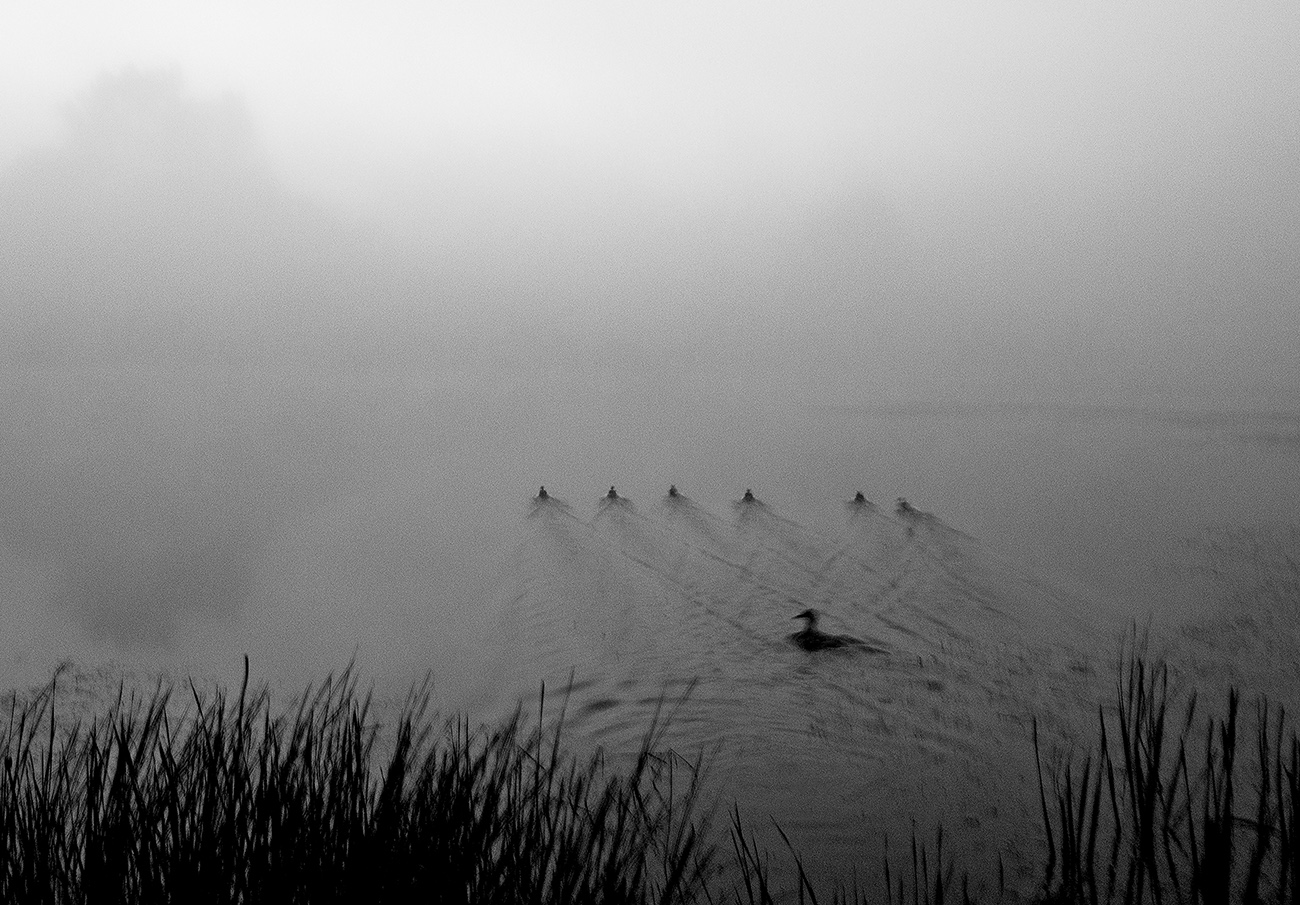 Unter dem Deckmantel