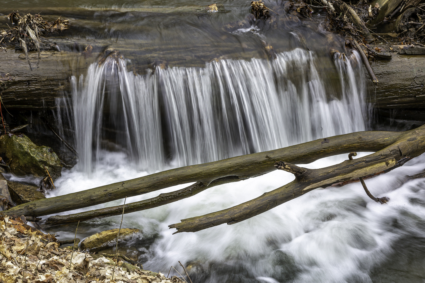 Cascade over Log