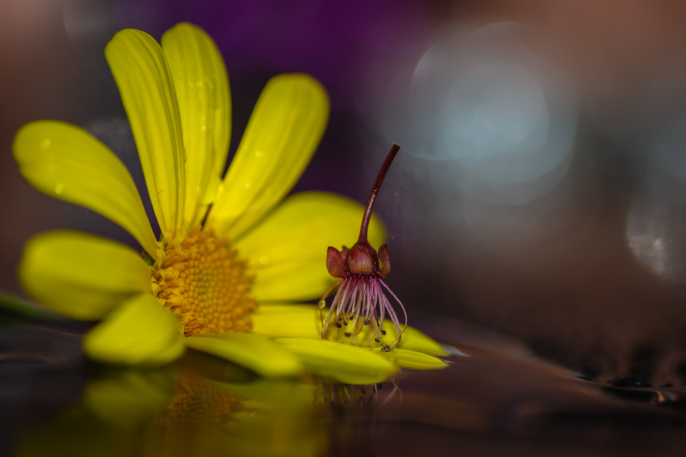 El valor de una foto.