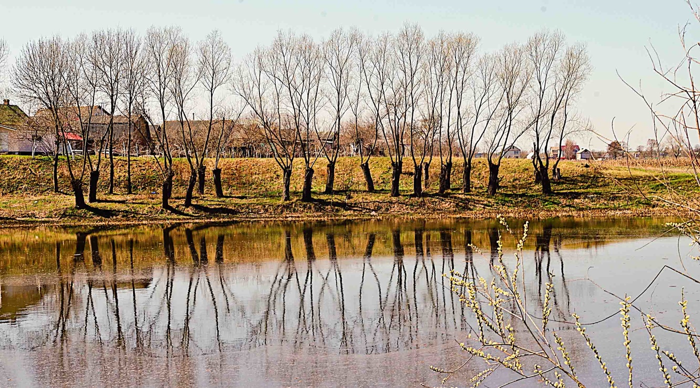 Frühlingslandschaft