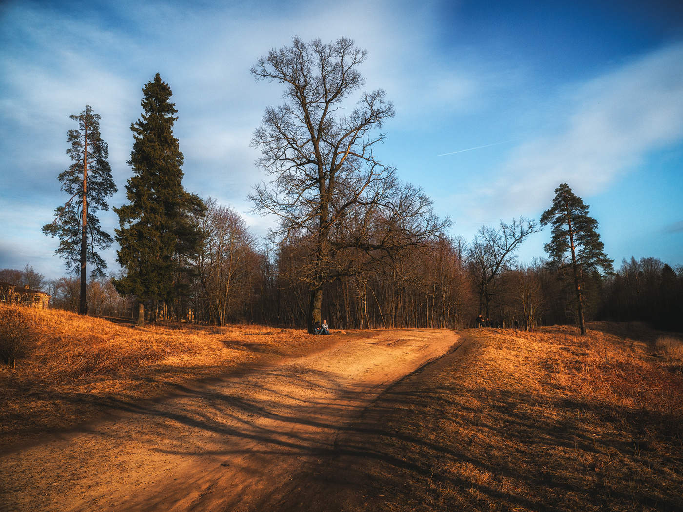 Park in early spring on a sunny day.