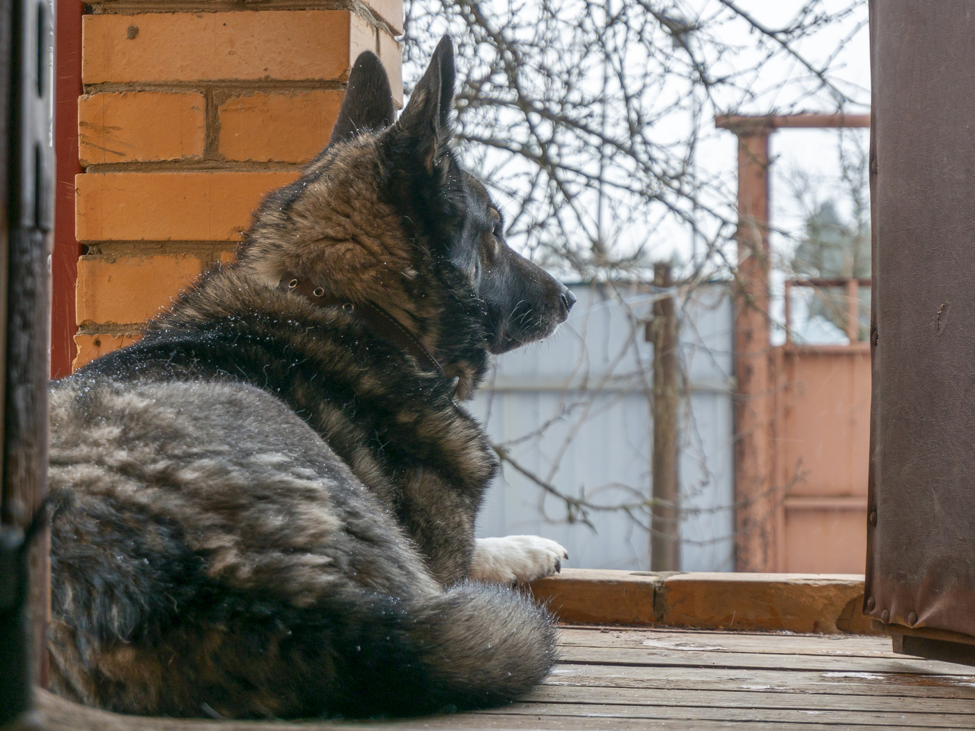 Warten auf den Frühling