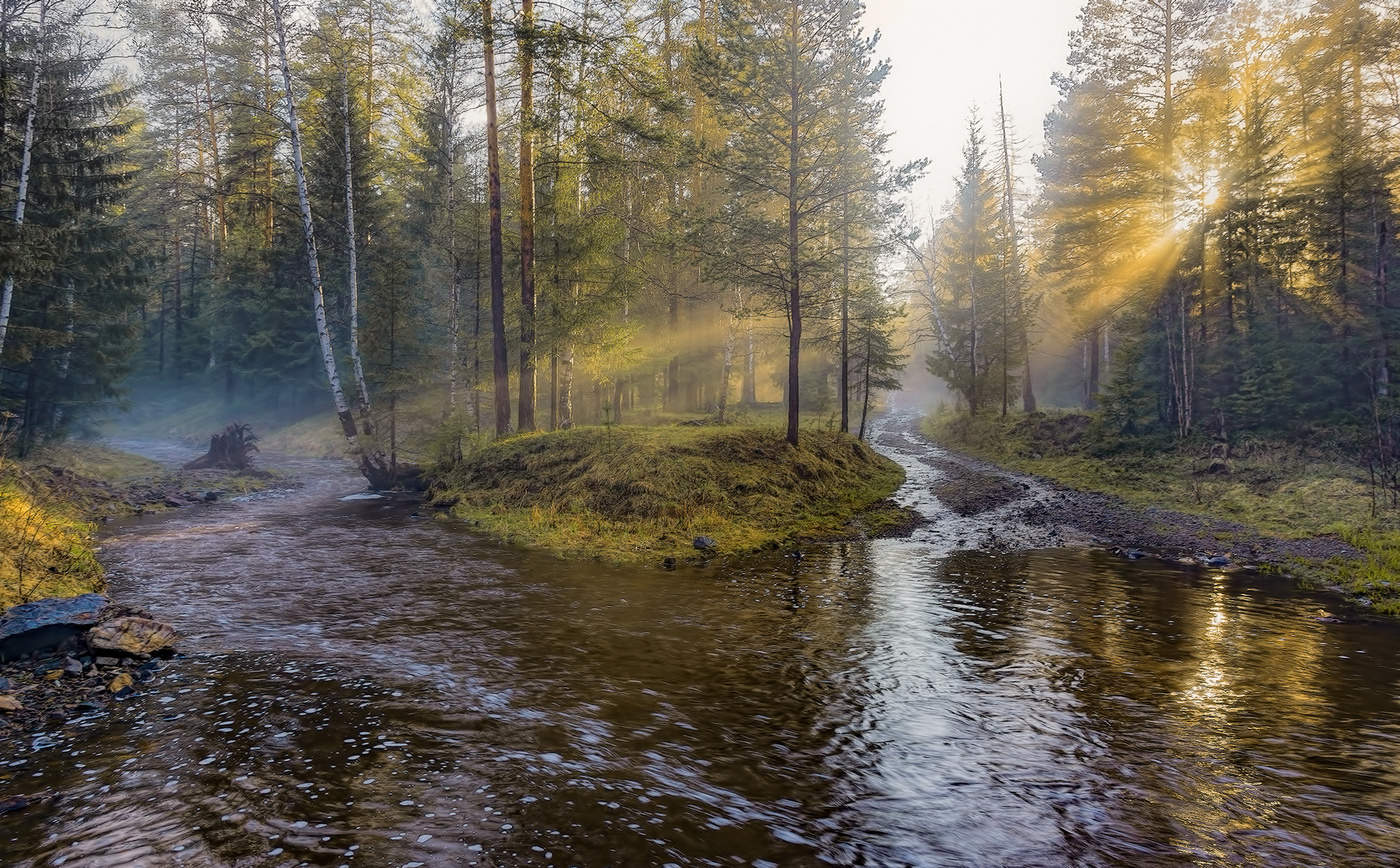 Der Abend nach dem regen