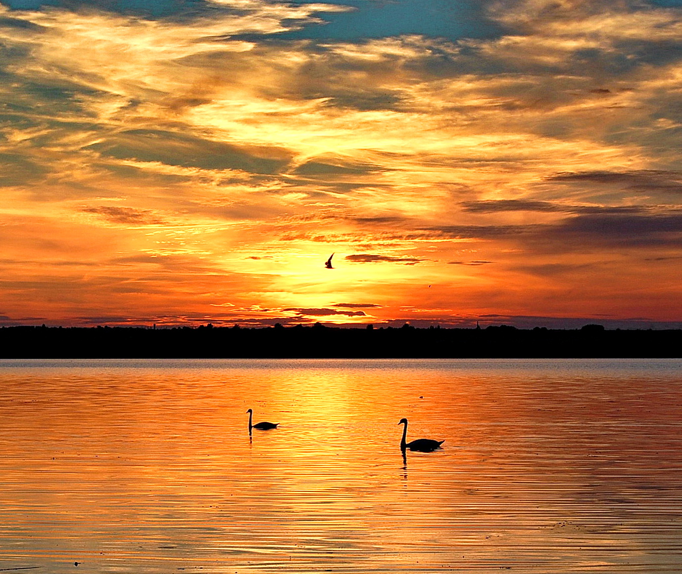 lila Sonnenuntergang