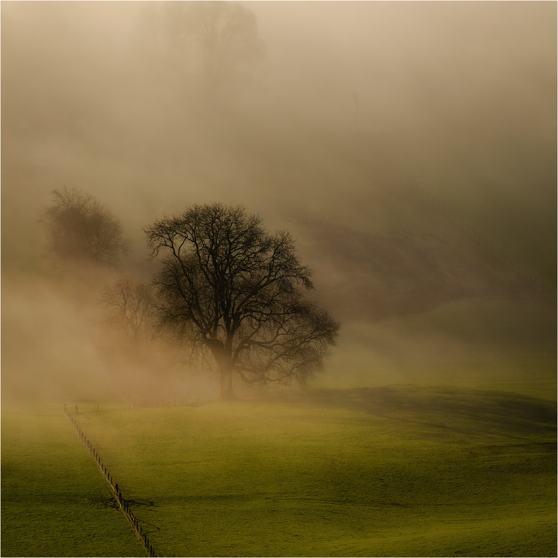 ... In den Morgenfarben ...