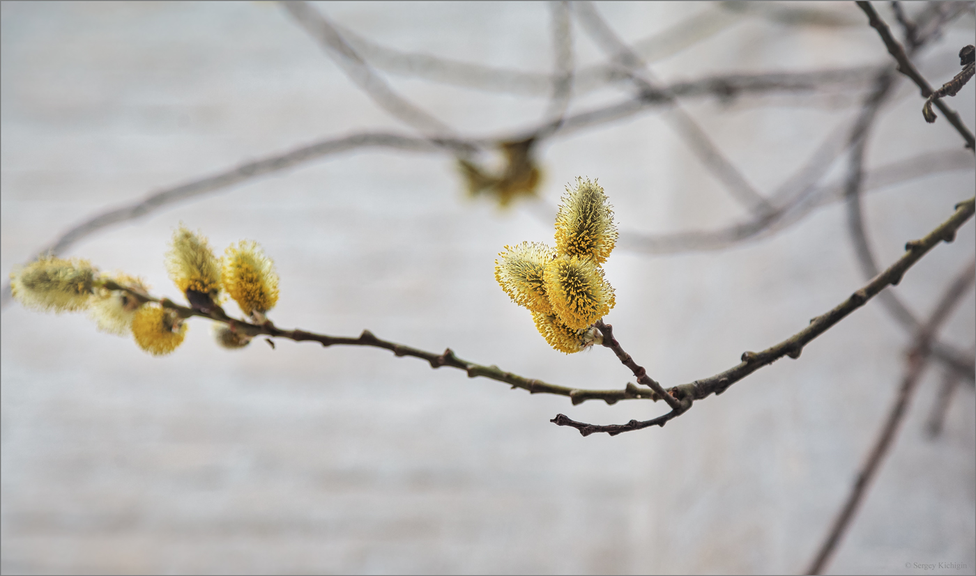 Beginn des Frühlings ...