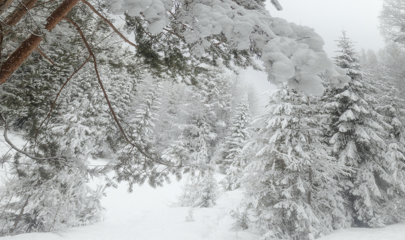 Frühling Schneefall
