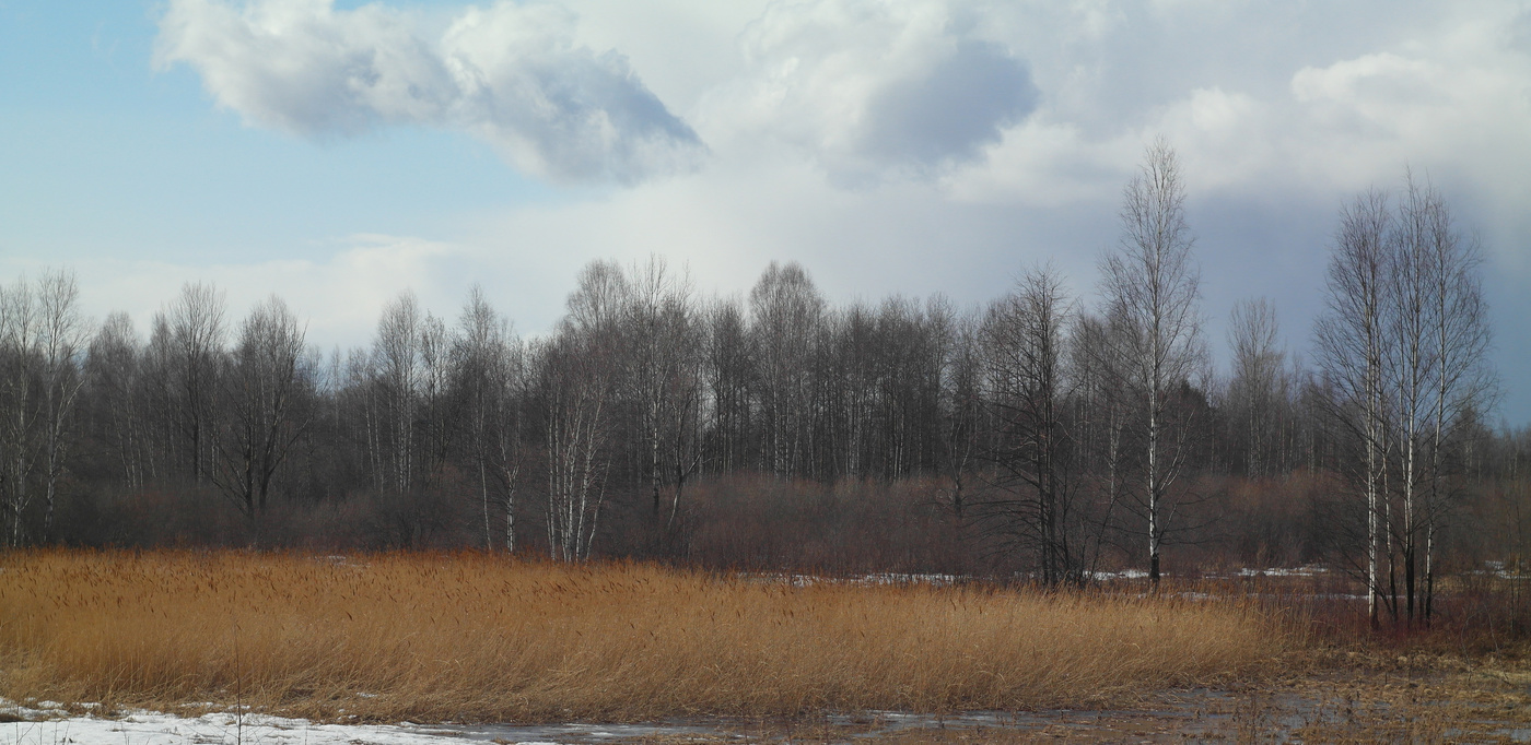 Veränderung des Wetters.