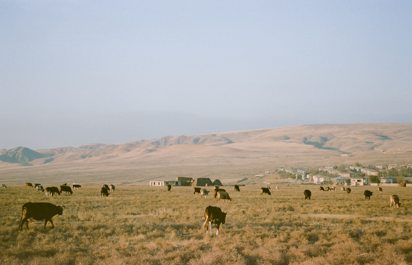 კახეთი, საქართველო
