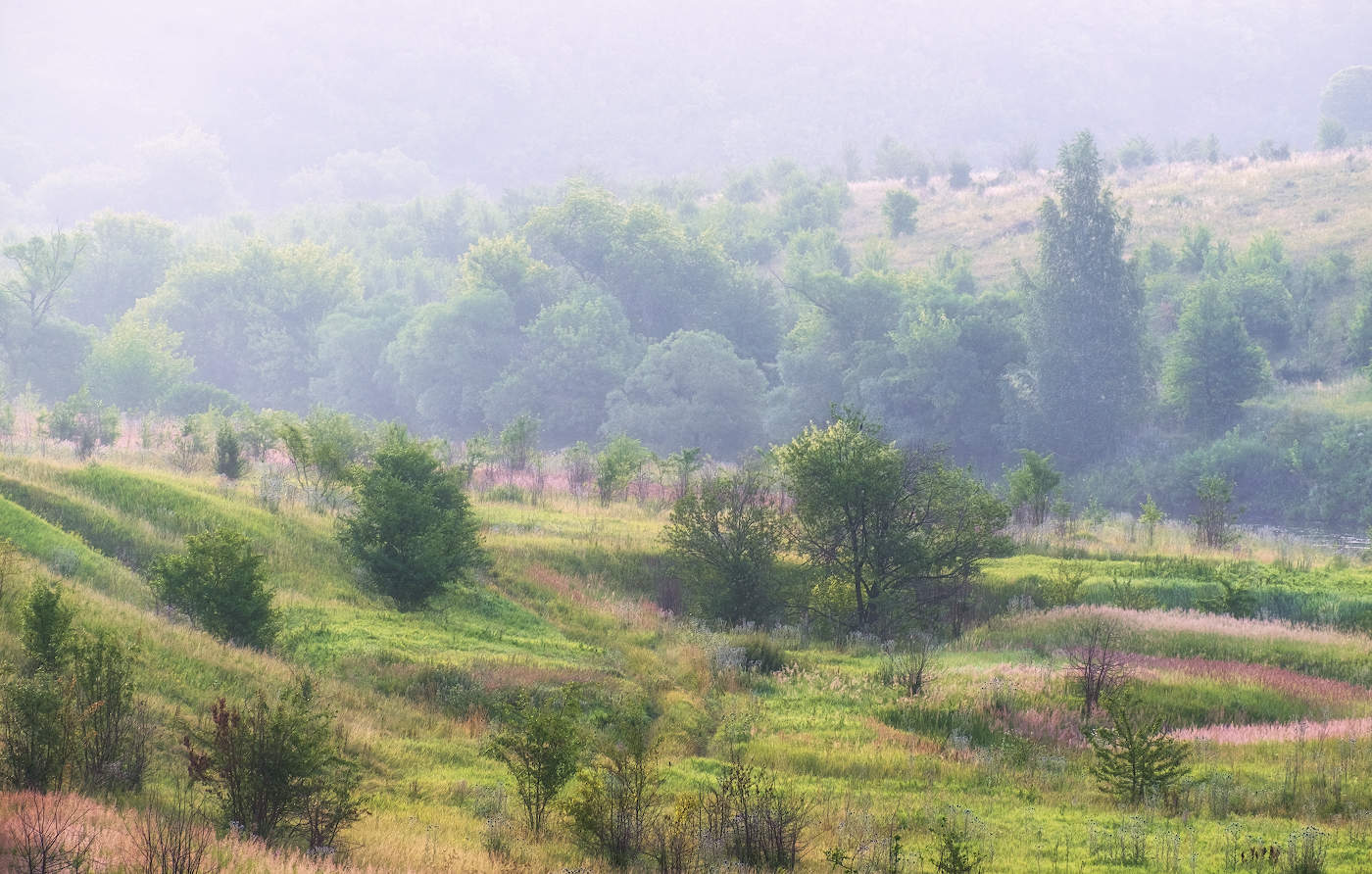 in der Dämmerung Nebel