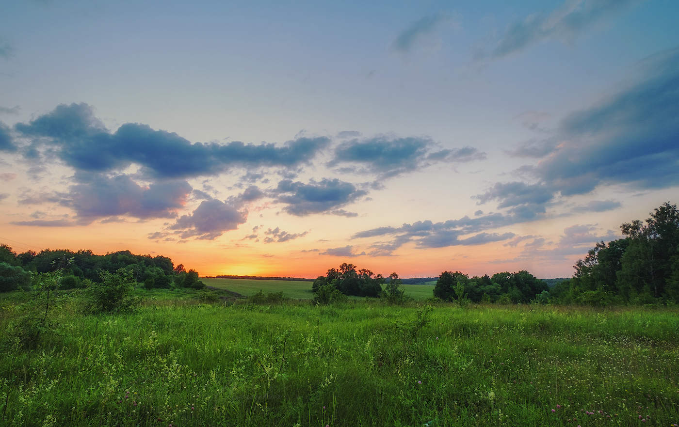 Einheimische Freiflächen