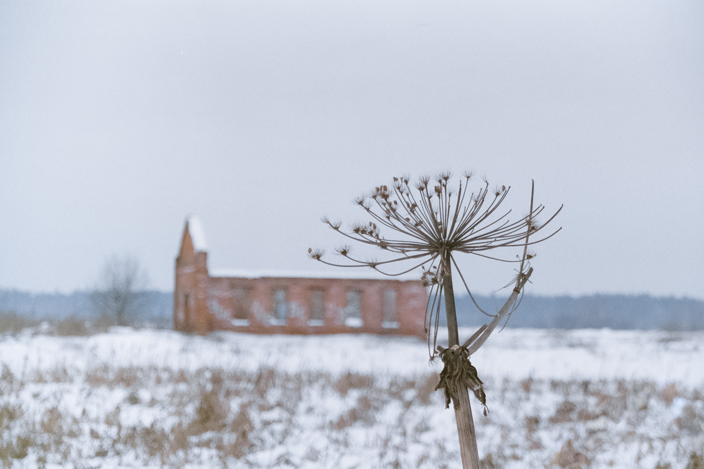 Near the Sotskoye Village