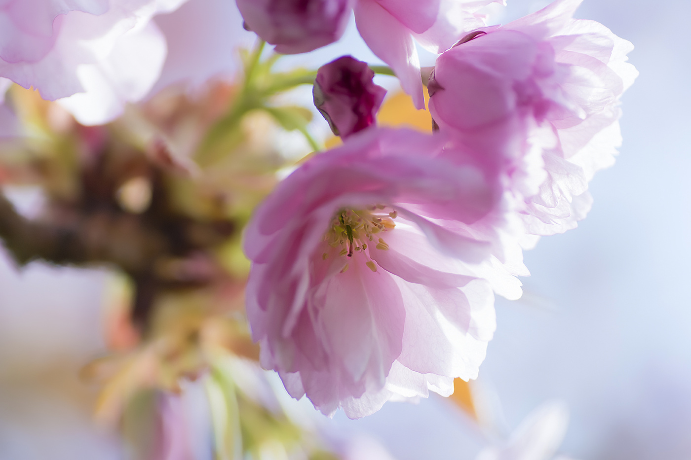 Das Leben geht weiter!