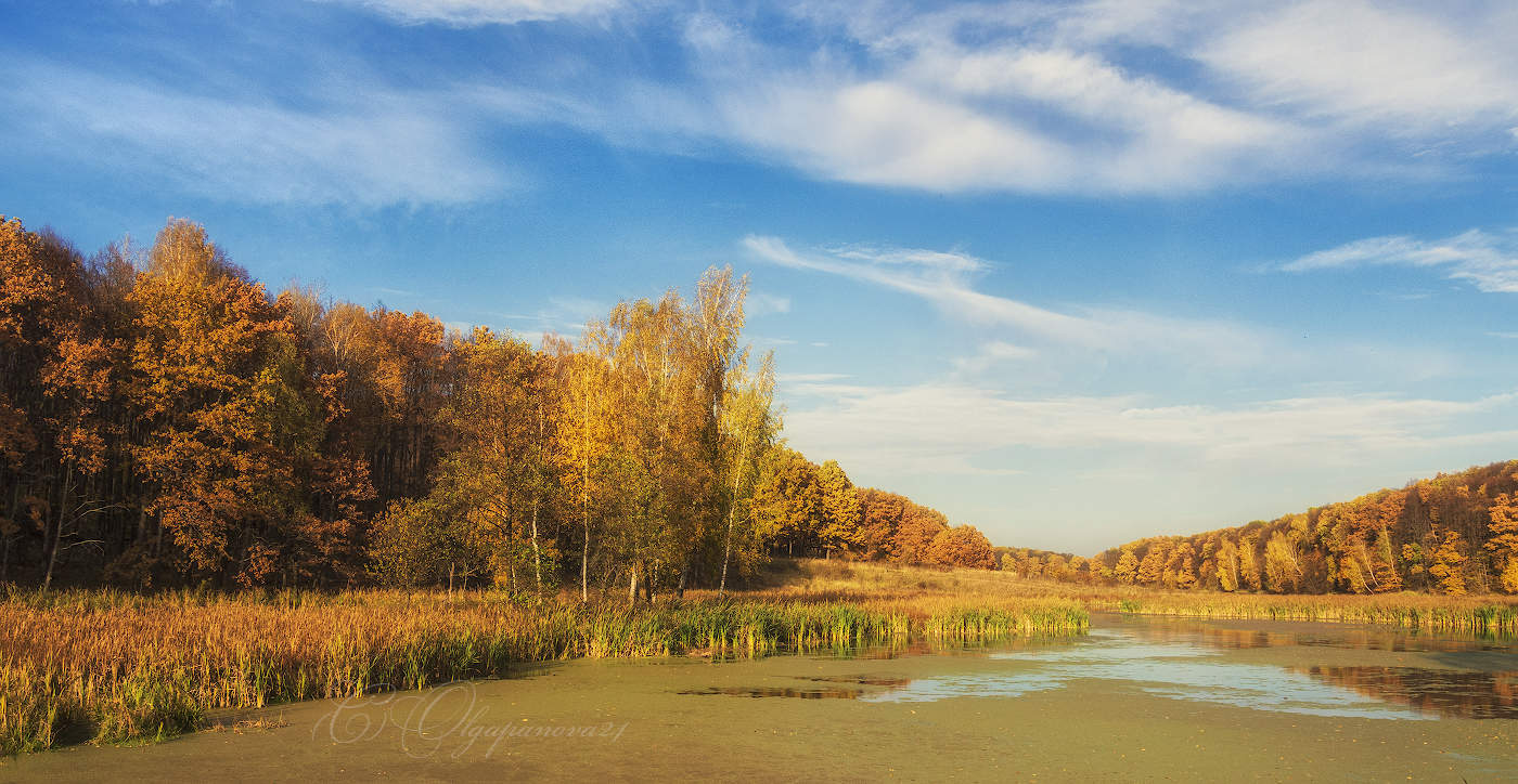 Augen, den Charme ...
