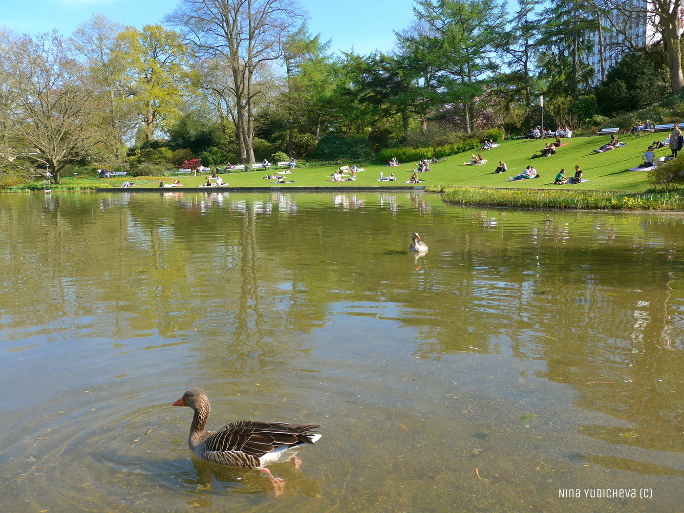 Planten un Blomen Hamburg