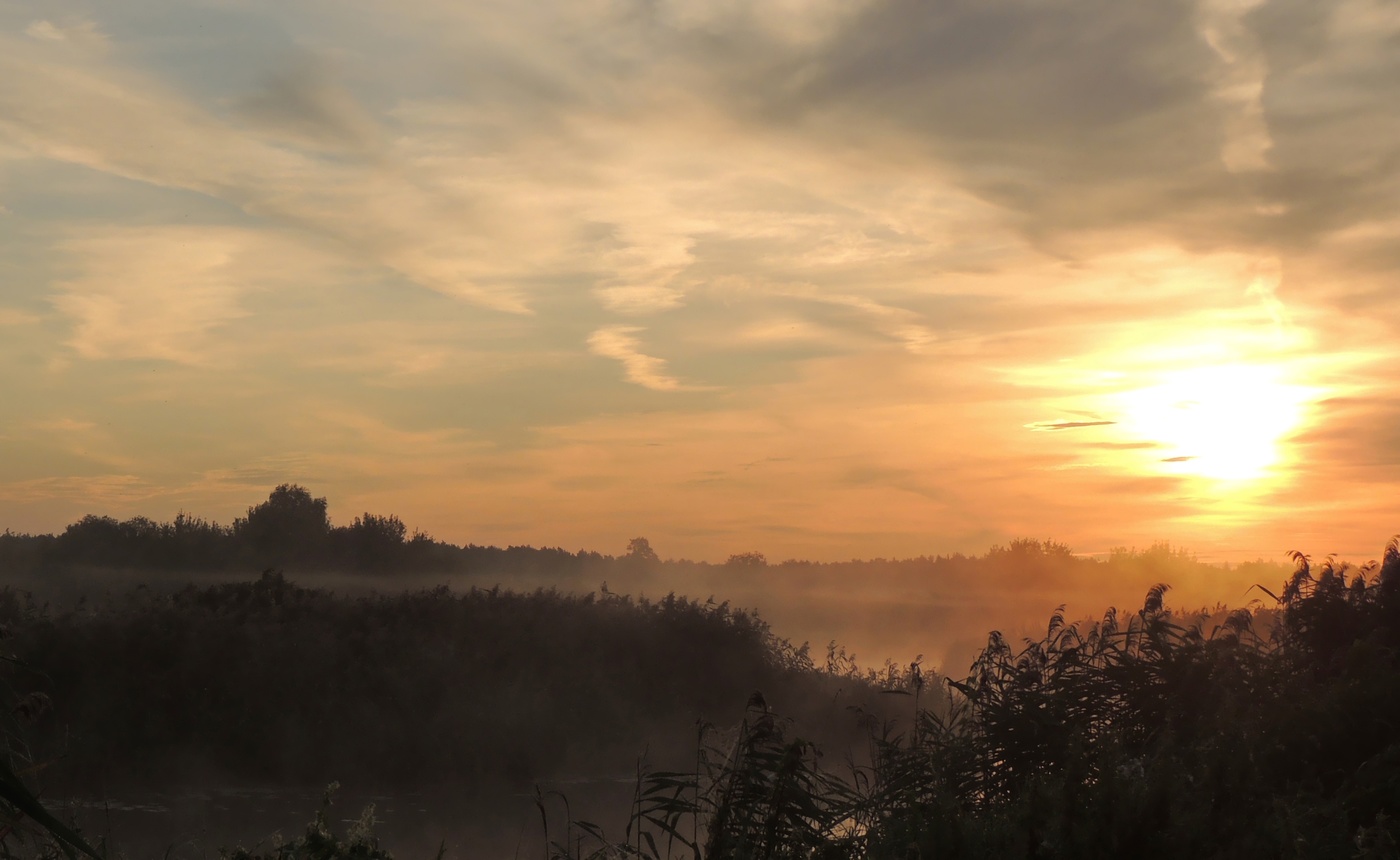 Morgen auf dem Altarm