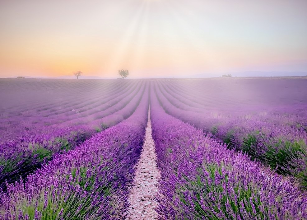 Provence ...