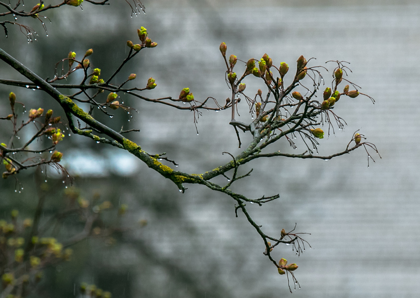 Außerhalb des Fensters