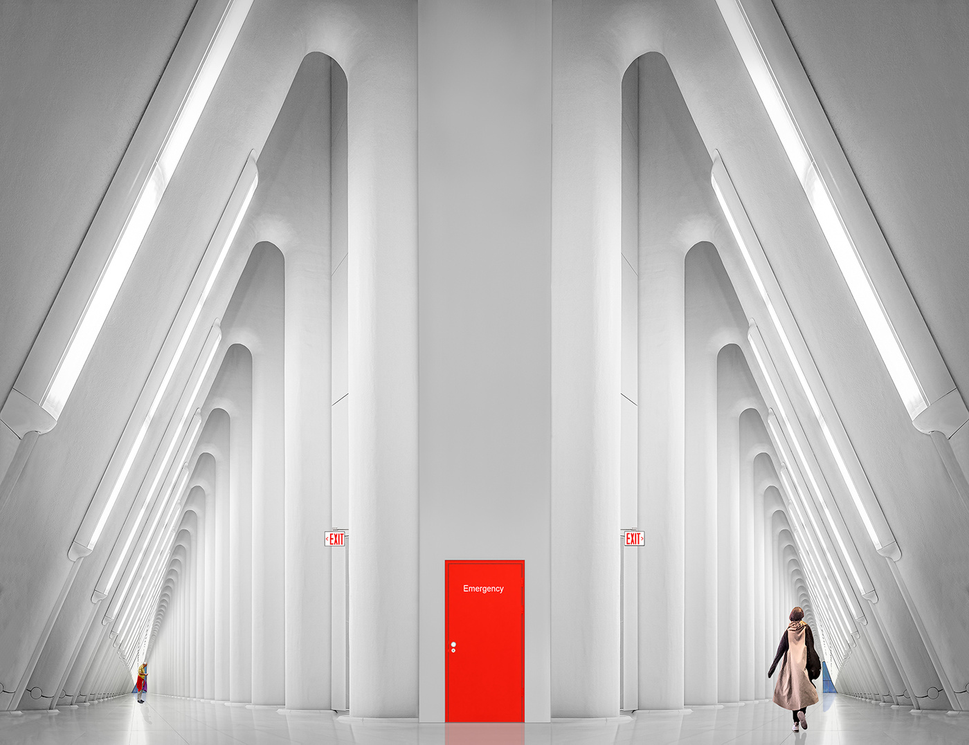 Homage to Santiago Calatrava