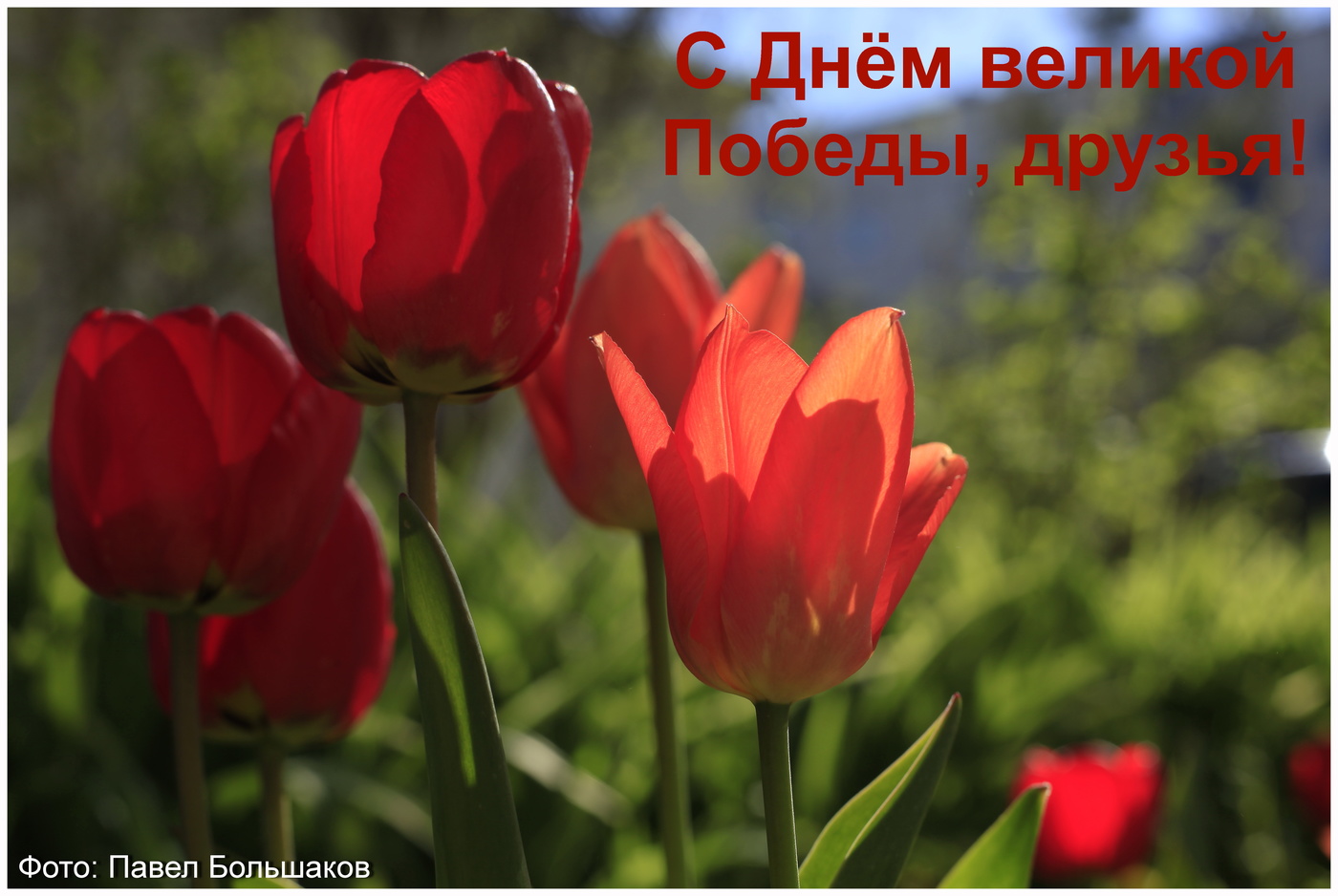 Glückliche Tag des Sieges!