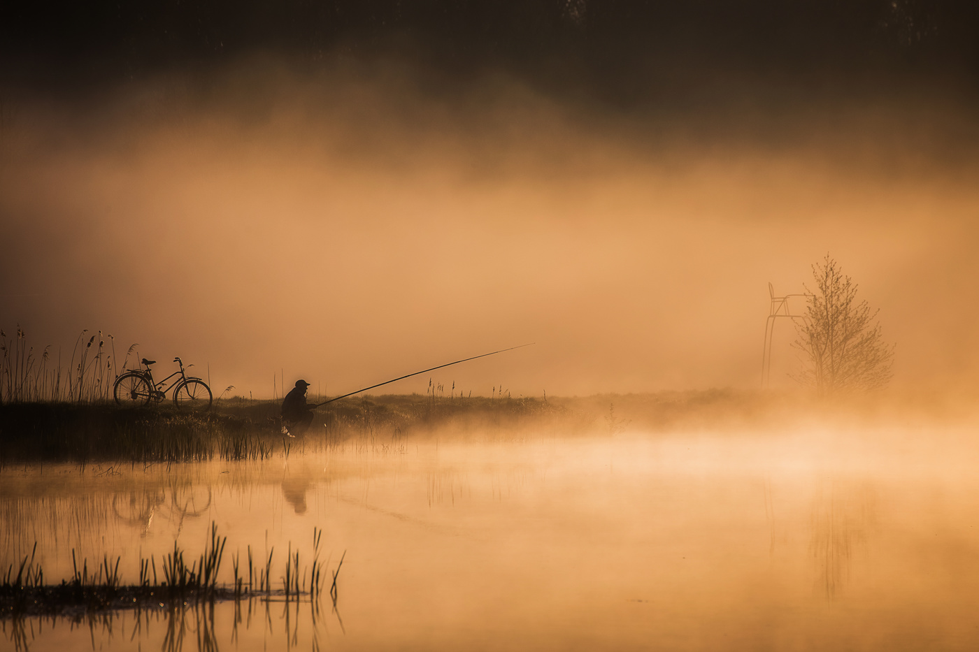 An einem nebligen Ufer