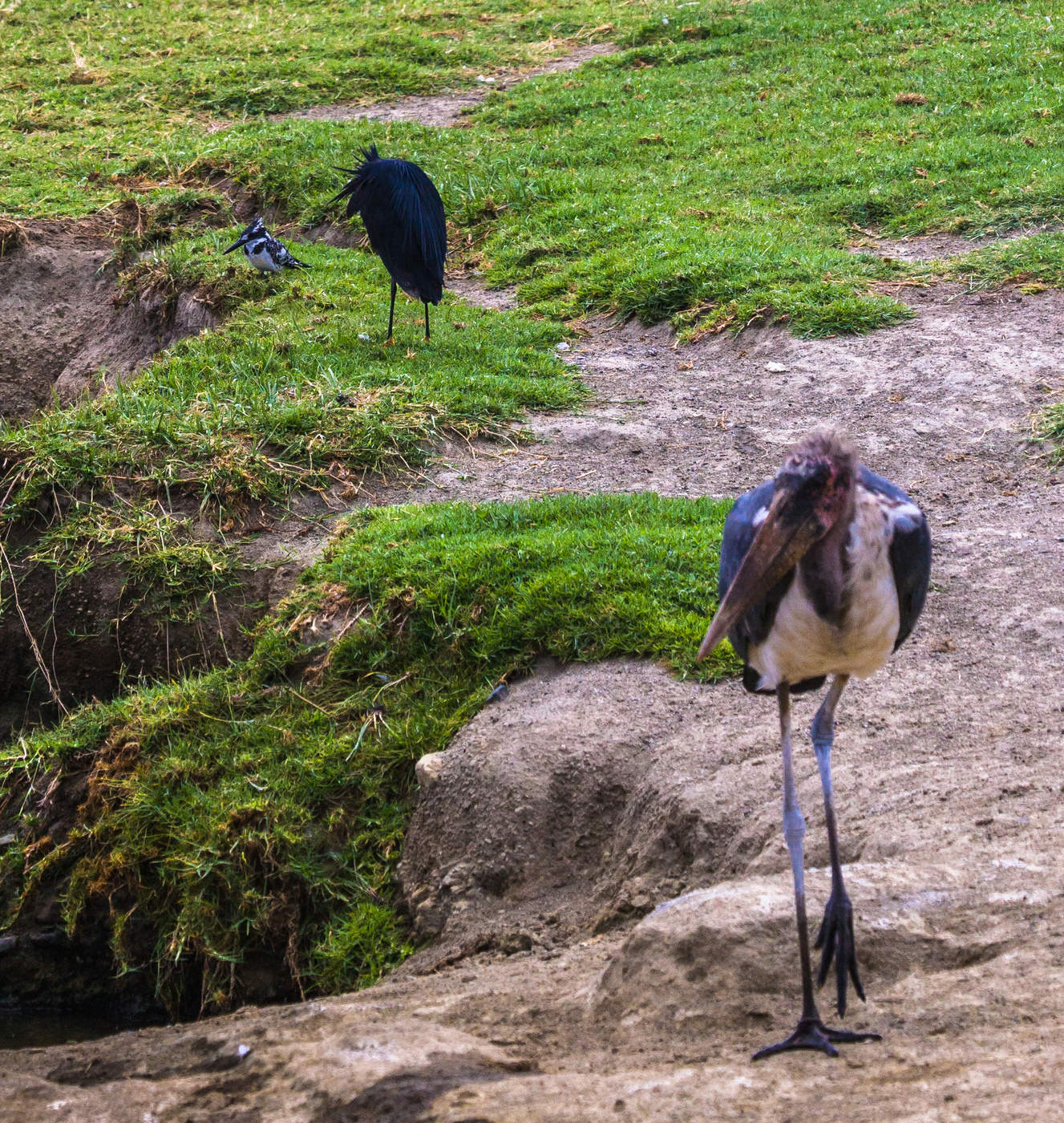 Jeder hat seine eigene Art und Weise