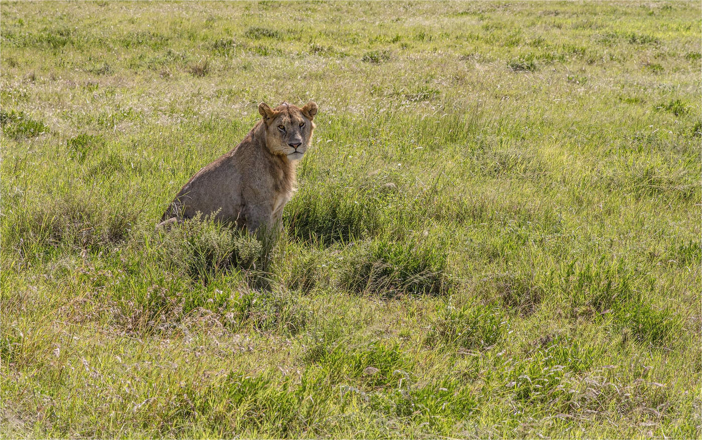 Foto auf der Speicher