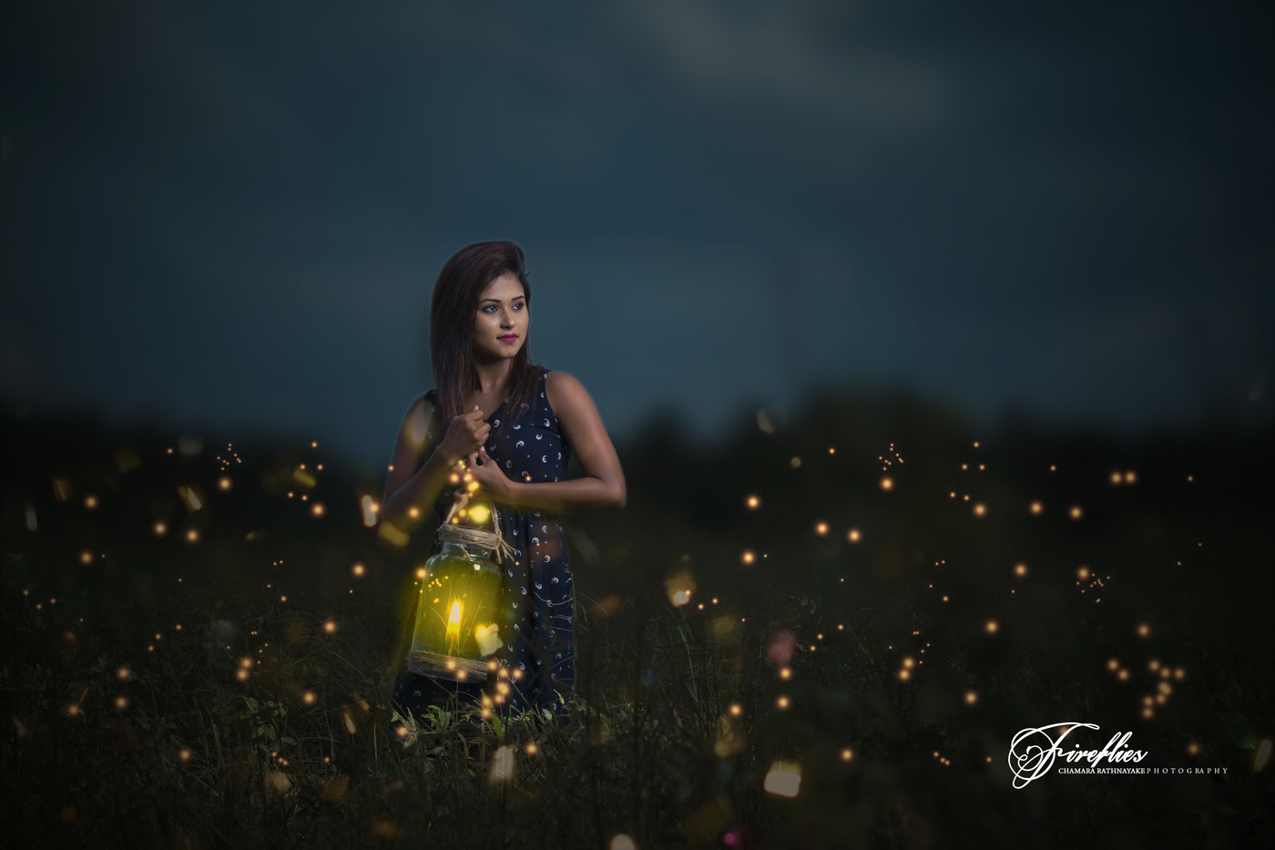 Fireflies
