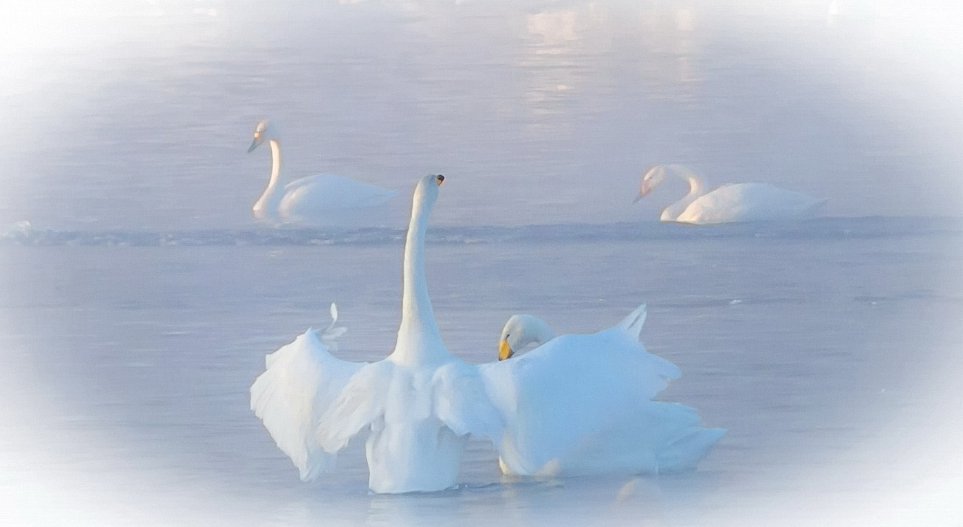 Mach dir keine Sorgen, ich bin mit dir ...